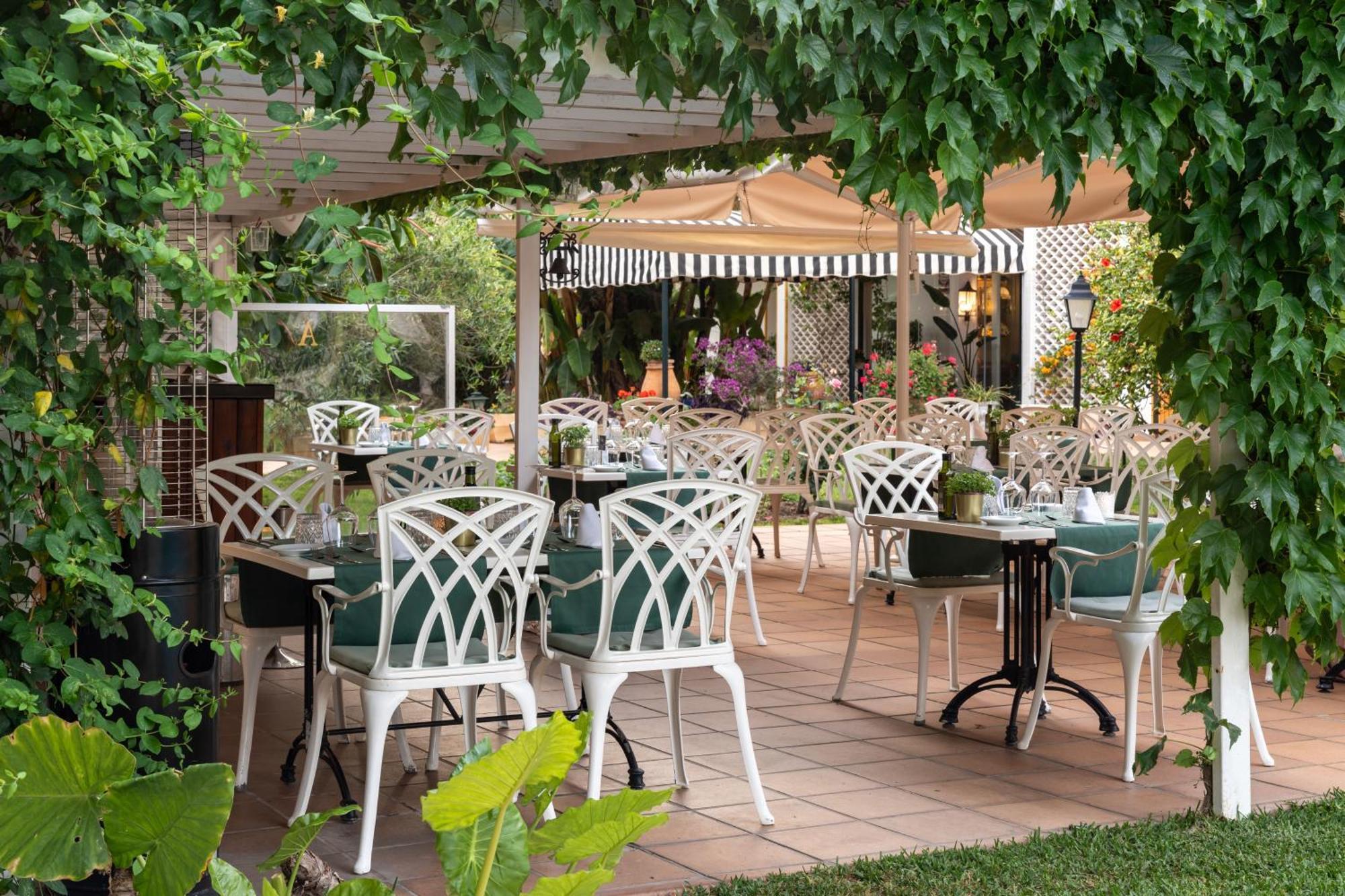 Araxa - Adults Only 3* Palma de Mallorca