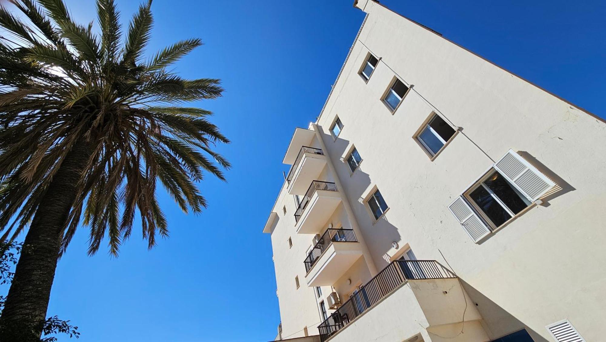 Lis Mallorca Palma de Maiorca