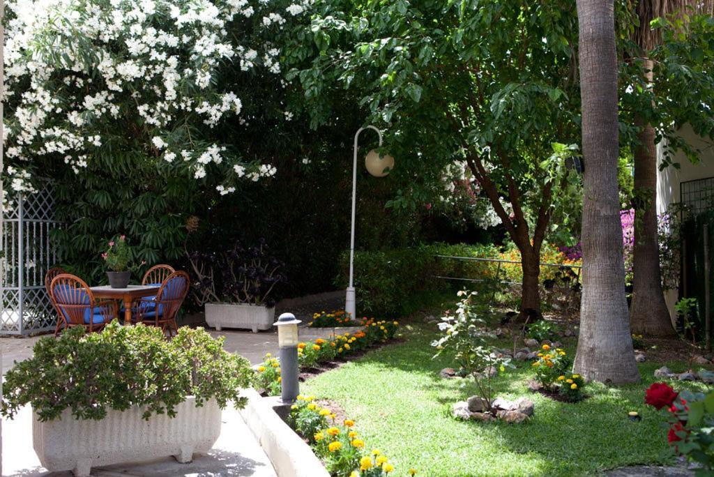 Central Park Palma de Mallorca