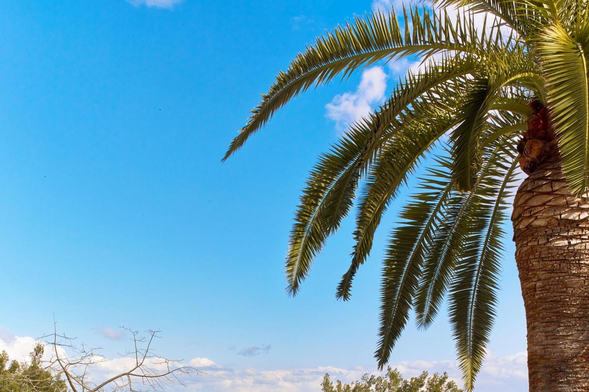 Hotel Castillo Son Vida, A Luxury Collection Hotel, Mallorca (adults Only) Palma de Mallorca