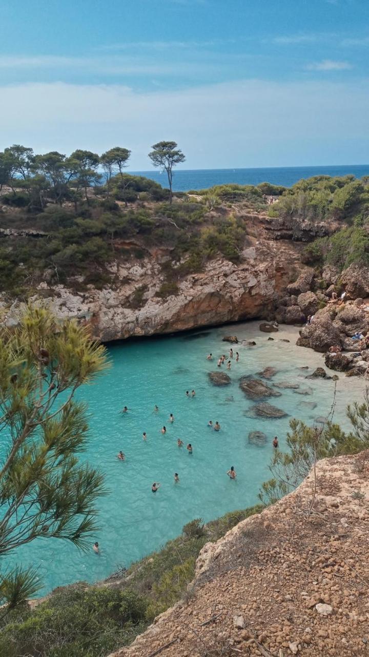Trendy Palma