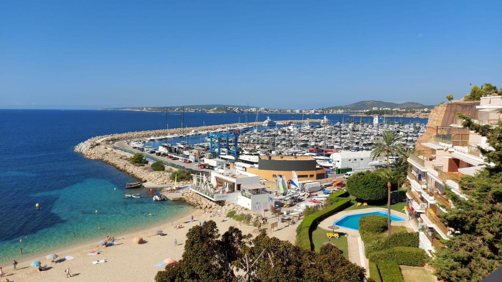 Trendy * Palma