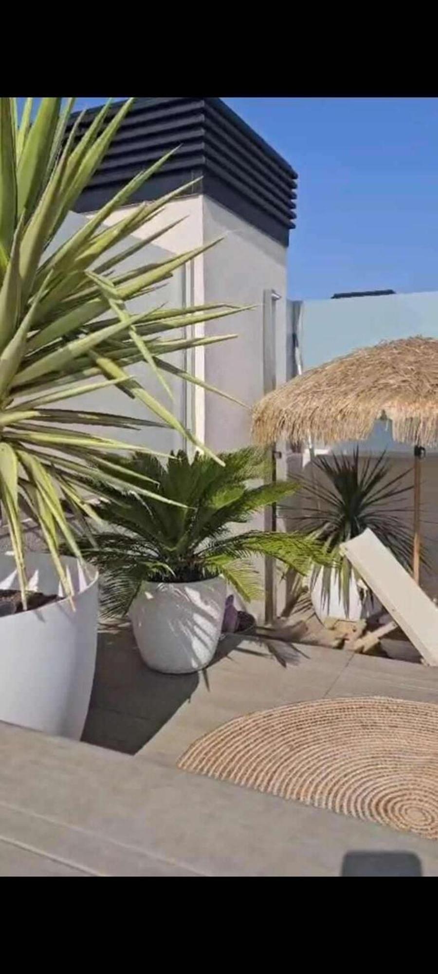 2 Bedrooms - Private Rooftop And Pool - Parking *