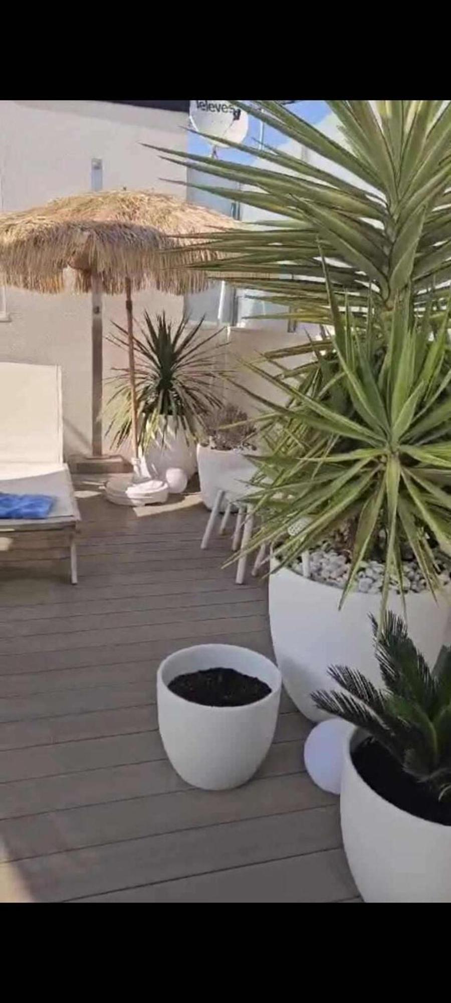 2 Bedrooms - Private Rooftop And Pool - Parking