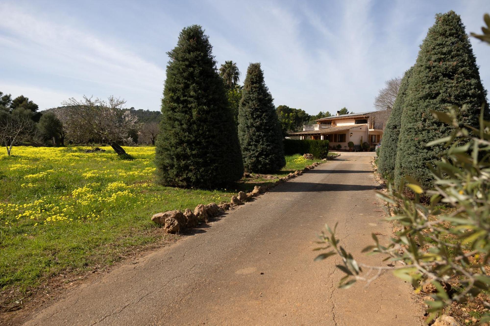 Font Holiday home *