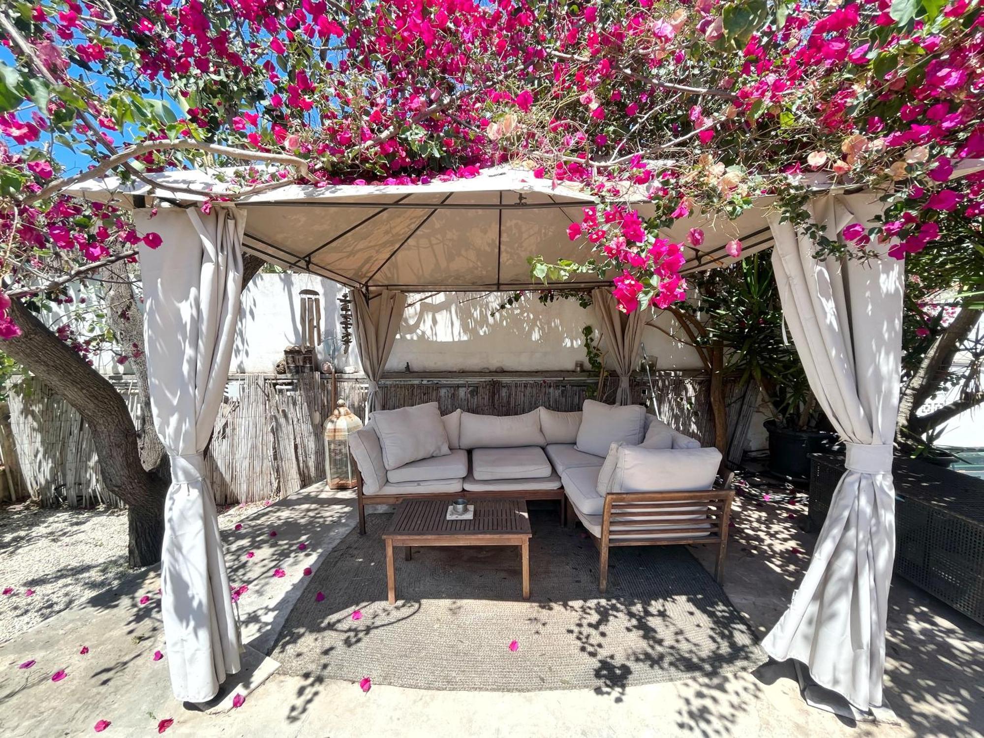 Casa Limon Holiday home Palma de Mallorca