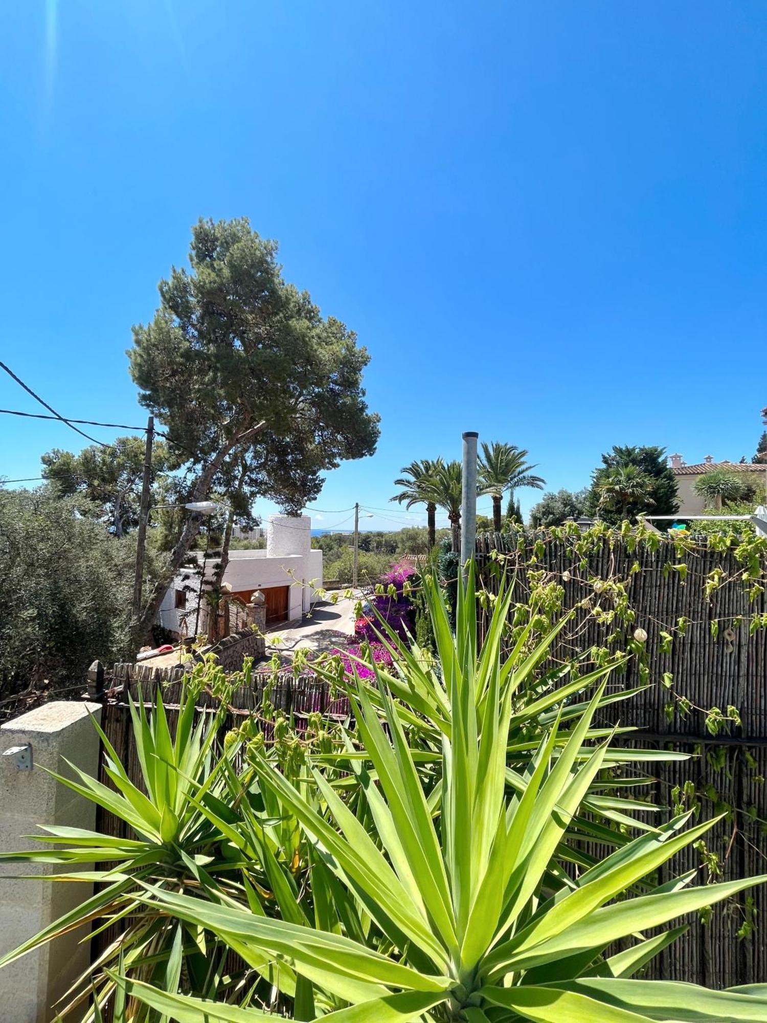 Holiday home Casa Limon *