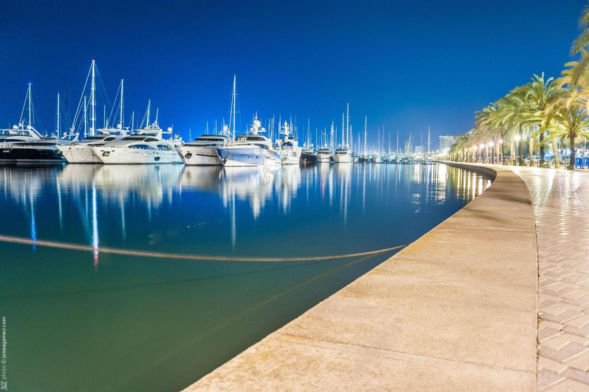 Teulera Villa Palma de Mallorca