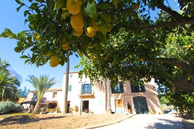 Finca Can Vich Holiday home *
