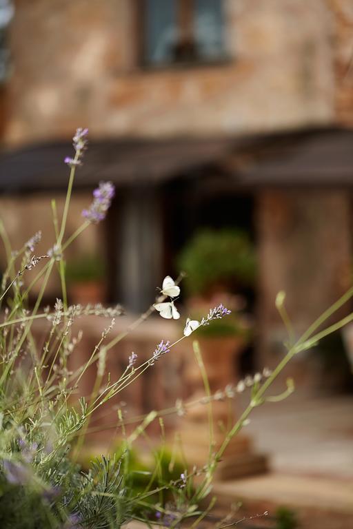 Holiday home Finca Can Vich Palma de Mallorca