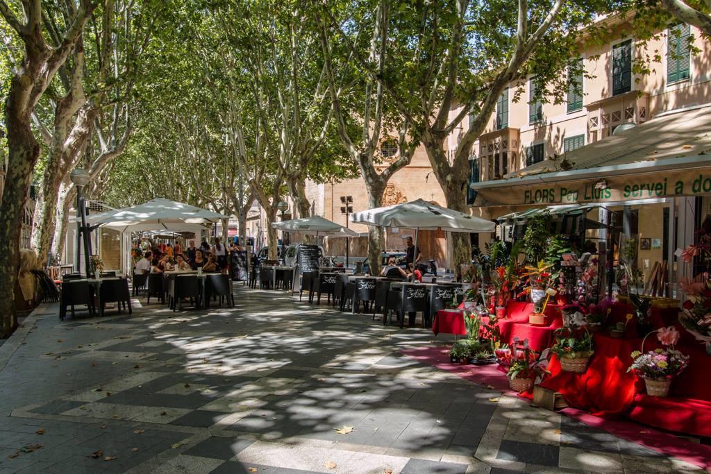 Apartment Sweet Palma de Mallorca