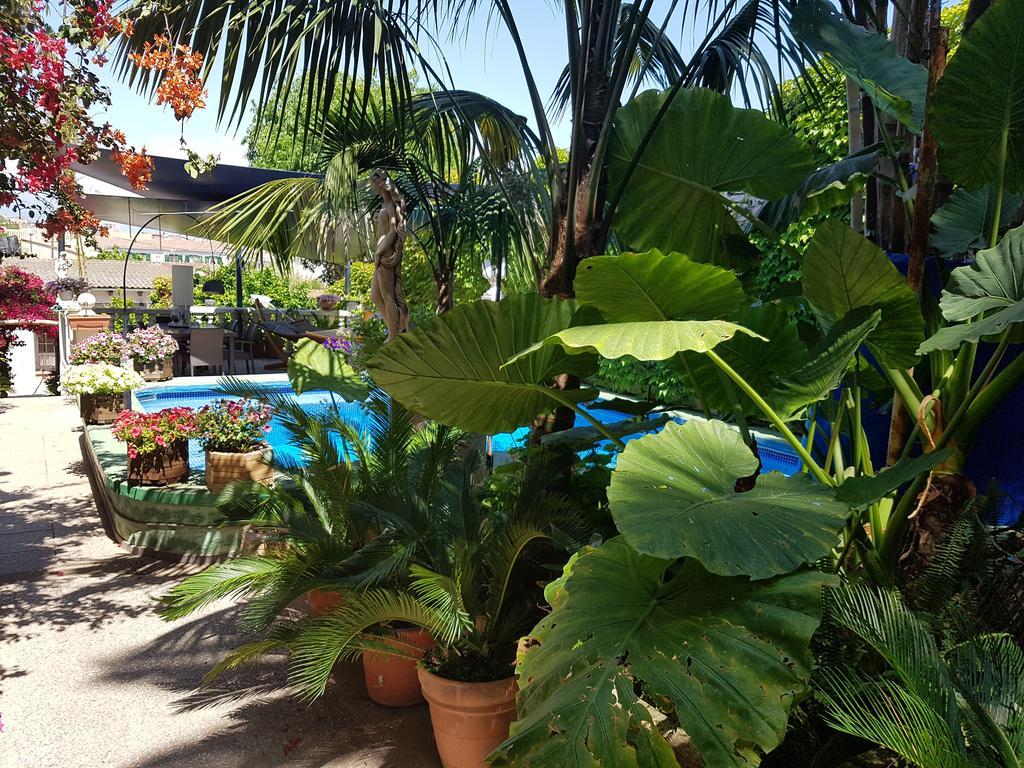 The Green House - Adults Only Apartment *