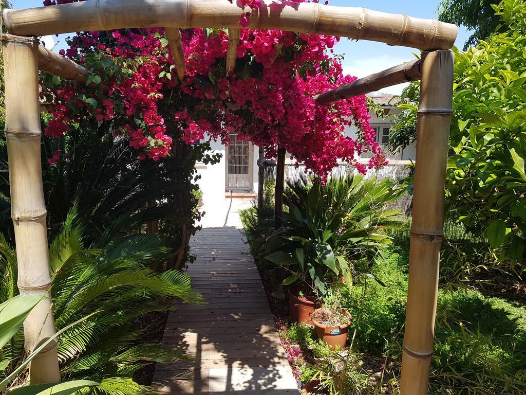 The Green House - Adults Only Apartment Palma de Mallorca