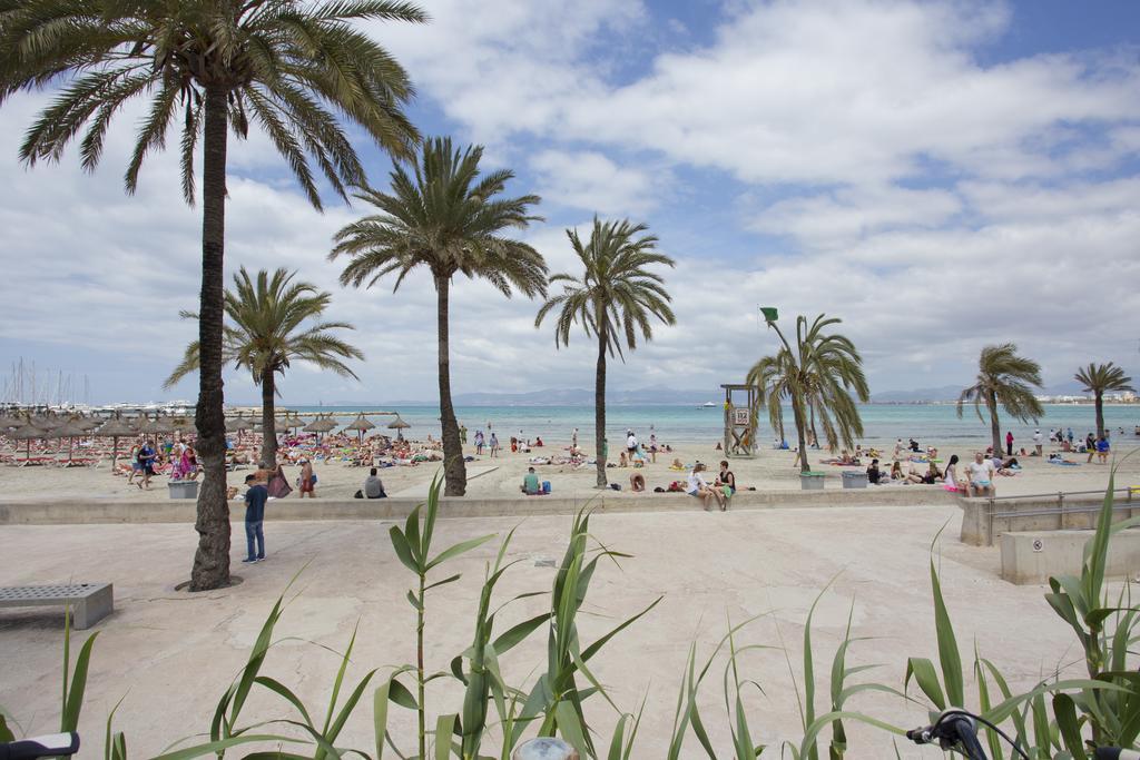 Els Pins Vakantiehuis Palma de Mallorca