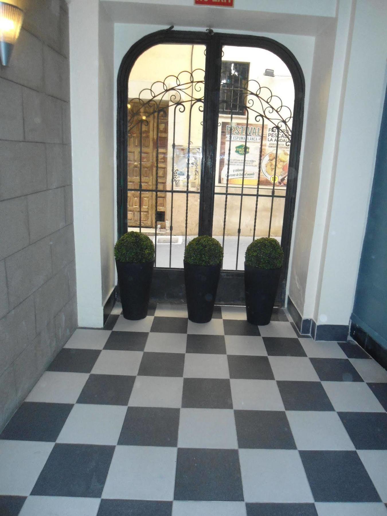 Apuntadores 8 2* Palma
