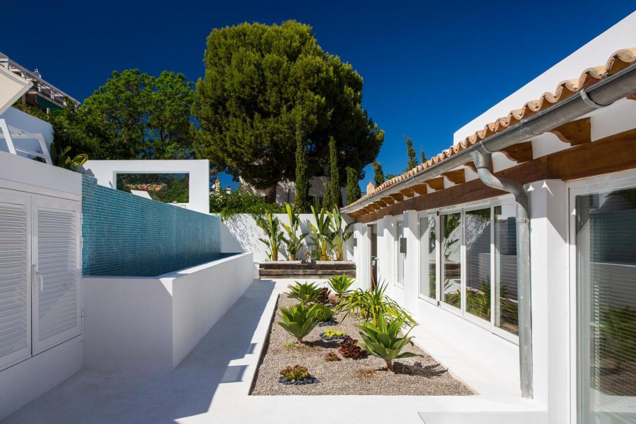 Oasis Terra Blanca * Palma