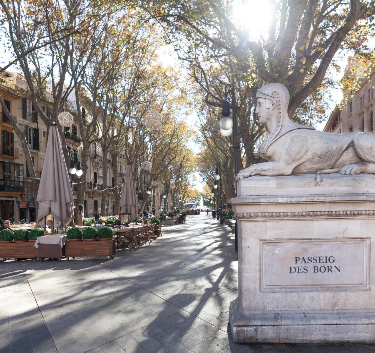 Fil 4* Palma de Mallorca