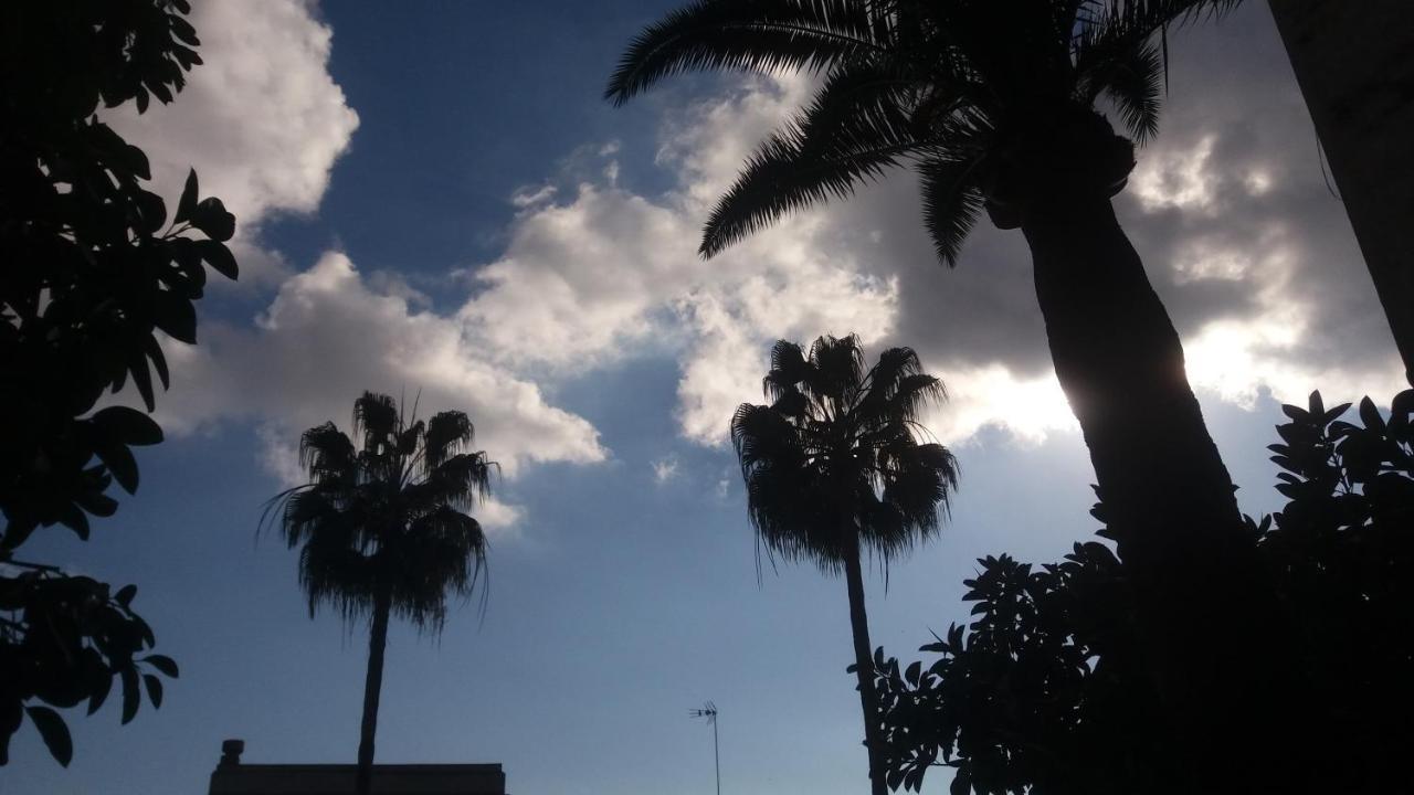 Corona Palma de Mallorca
