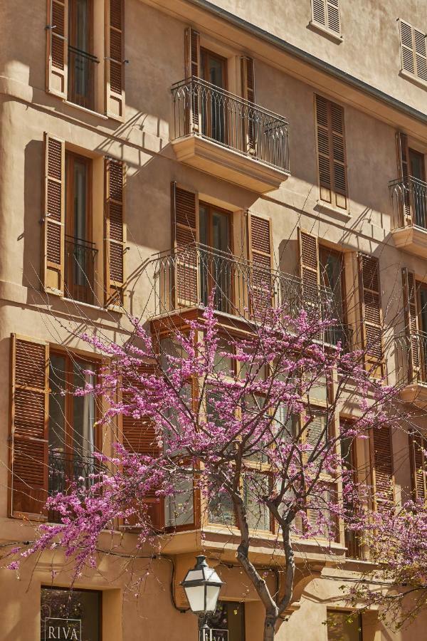 Damunt Hotel Palma de Mallorca