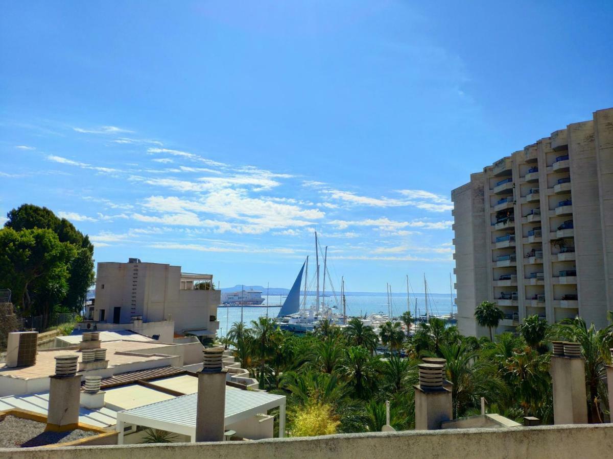 Sanofi Apartment *