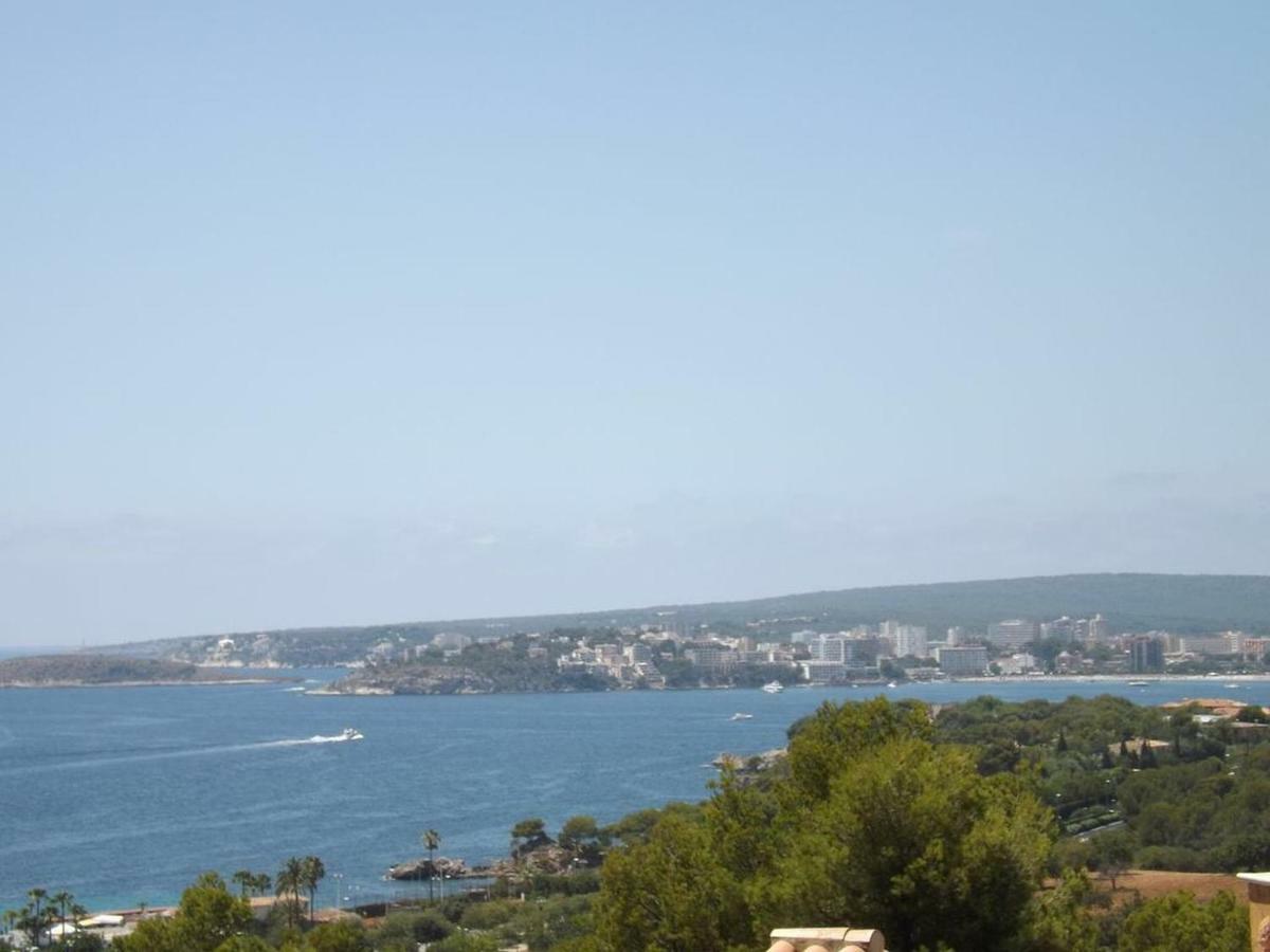 Que Sera Palma de Mallorca