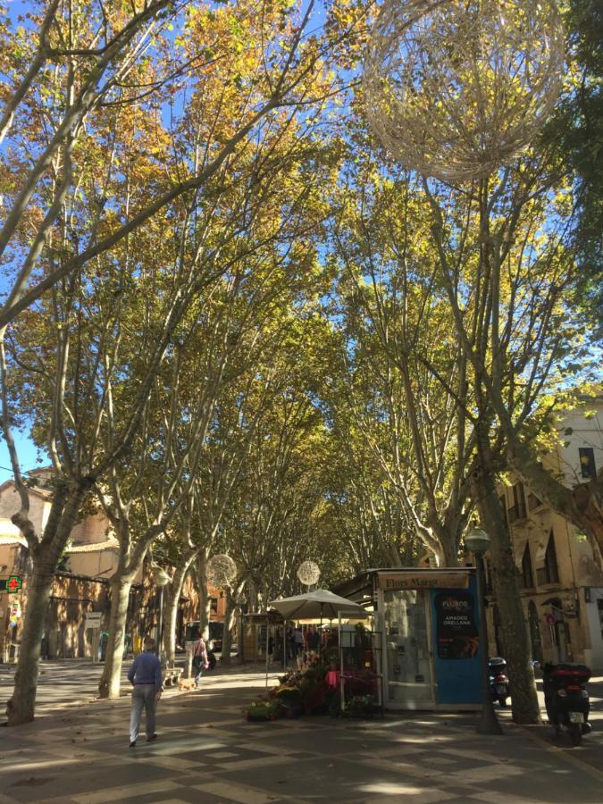 Apartamento Cream Homes La Rambla, Turismo De Interior Palma de Mallorca