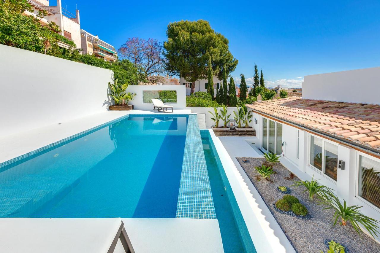 Oasis Terra Blanca * Palma