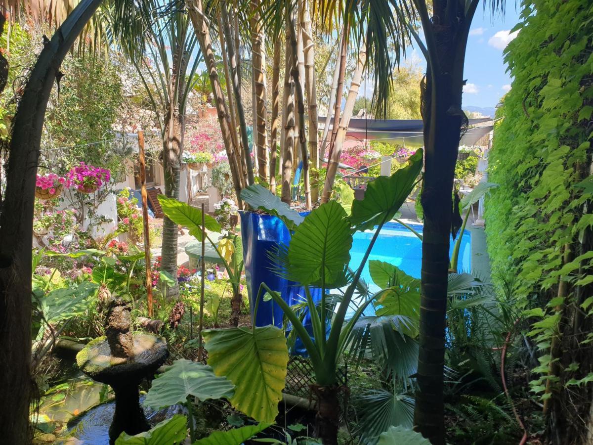 The Green House - Adults Only Palma