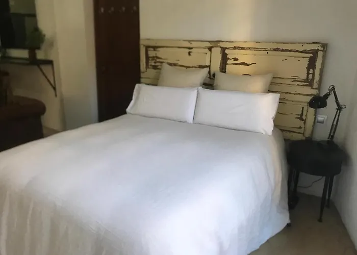 Ribellino Apartment - Dog Admiral Urban Guest House