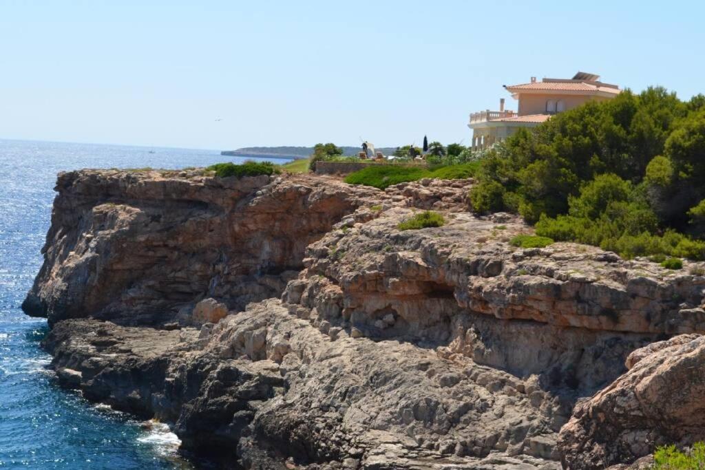 Vallgornera