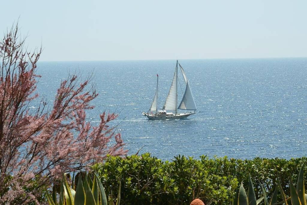 Villa Vallgornera Palma de Mallorca