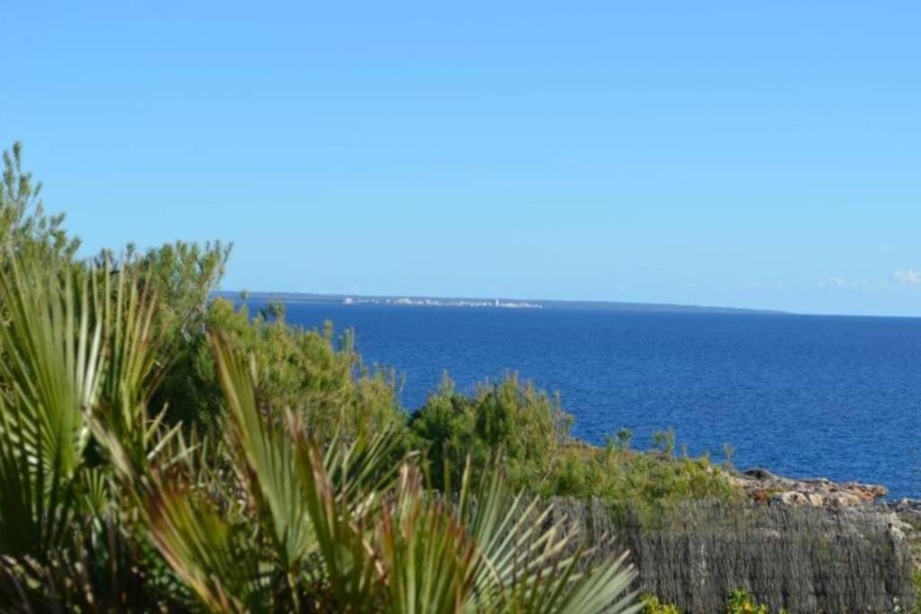 Villa Vallgornera *