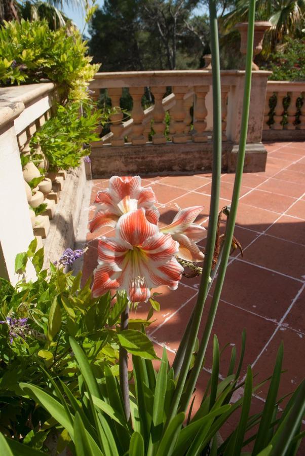 Casa De Vistas * Palma