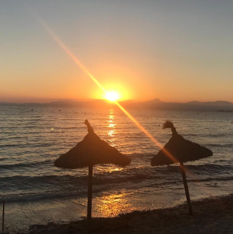 Homestay Ribellino - Dog Admiral Urban Palma de Mallorca
