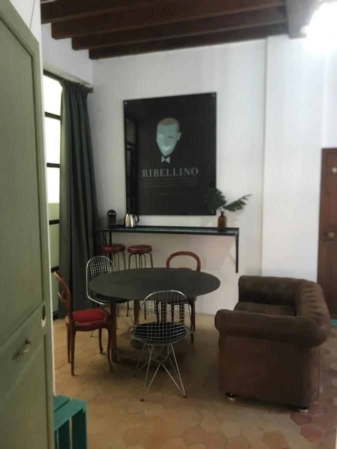 Ribellino - Dog Admiral Urban Palma de Mallorca