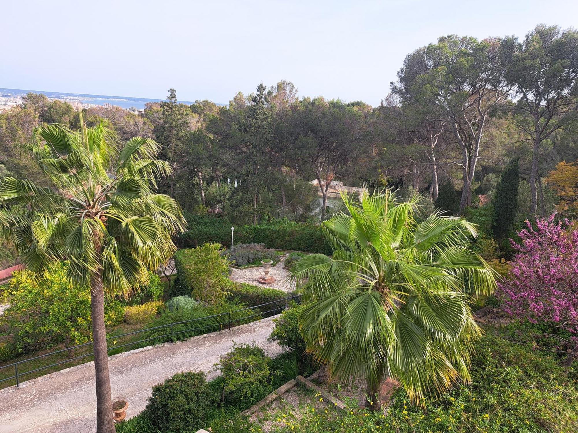 Casa De Vistas Villa Palma