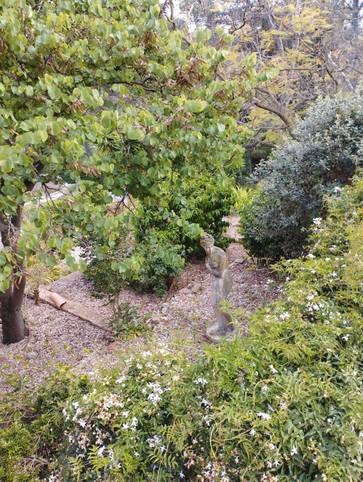 Villa Casa De Vistas Palma