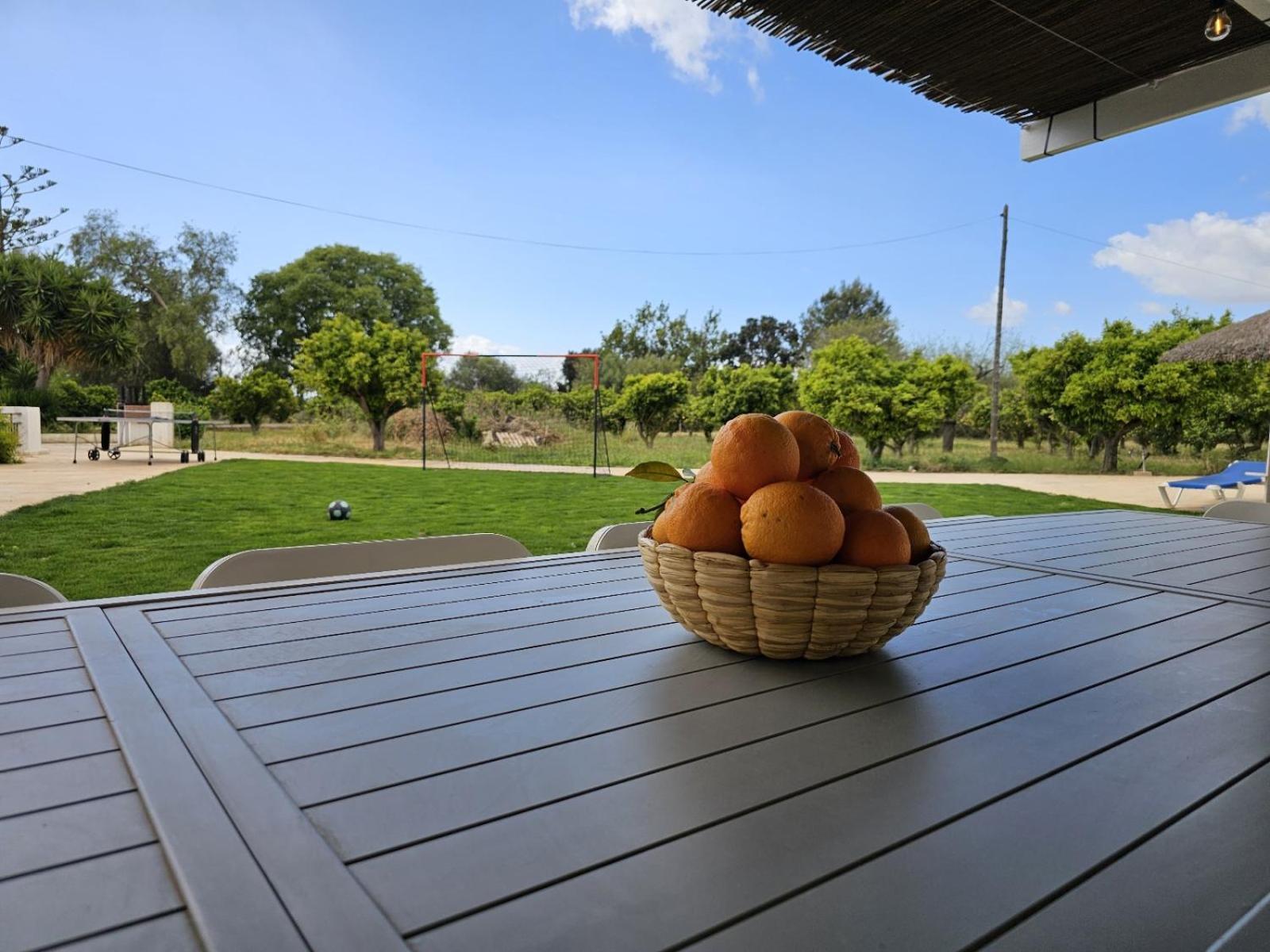 Villa Es Moli De'n Palmer