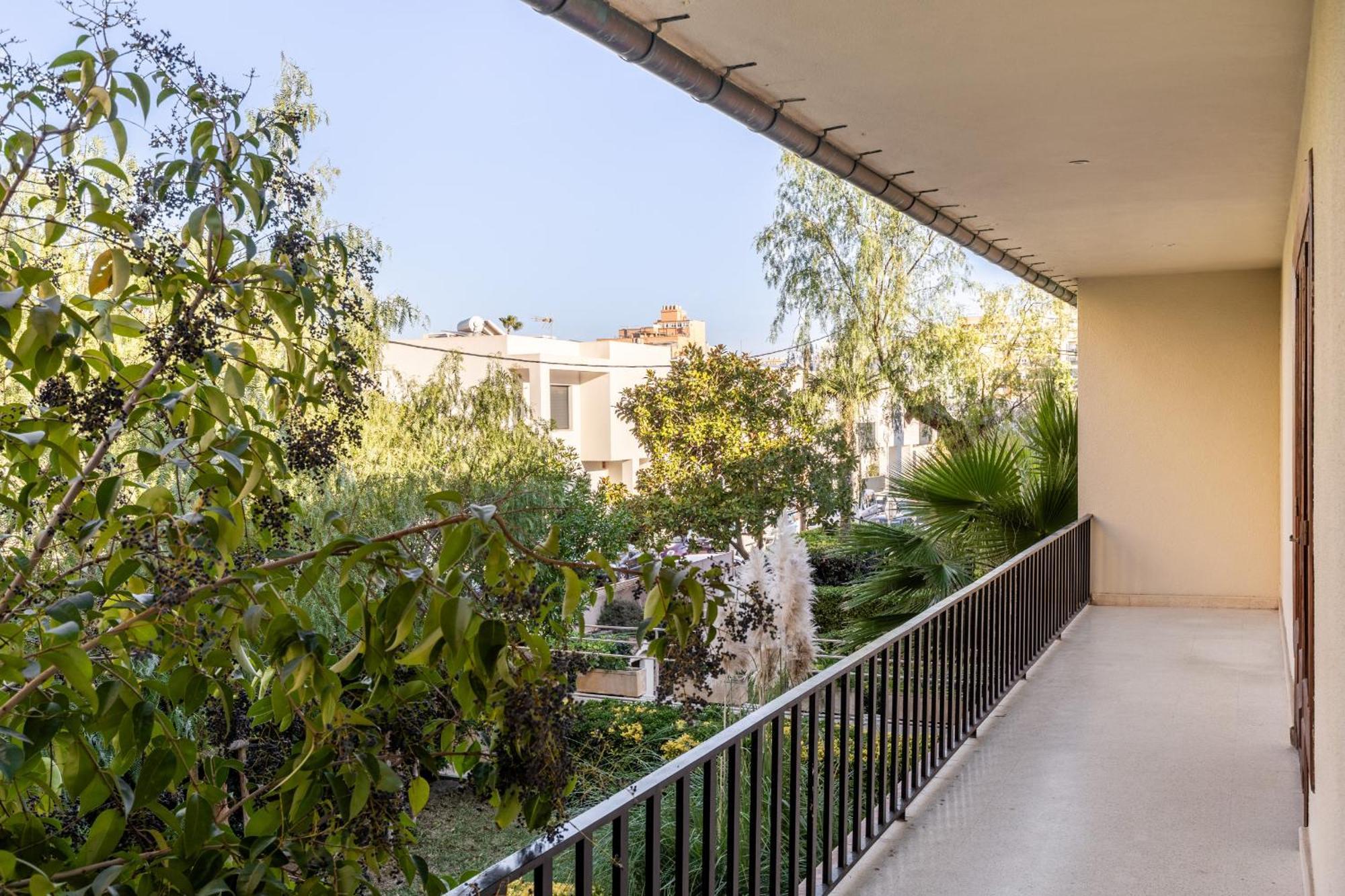 Villa Palma Palma de Maiorca