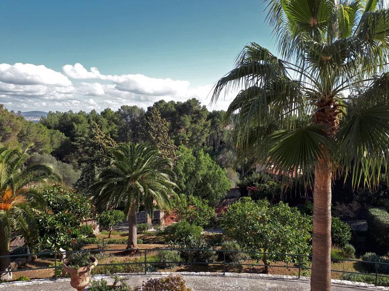 Casa De Vistas * Palma