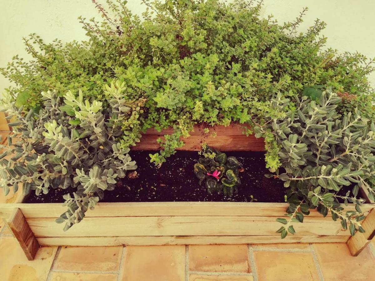 Encantadora Casita En Vakantiehuis Palma de Mallorca