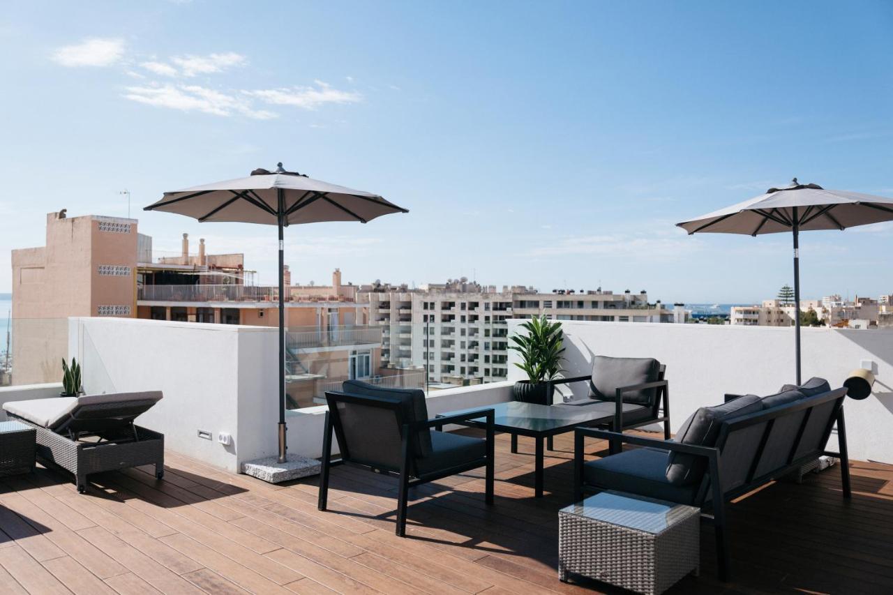 Terreno Suites